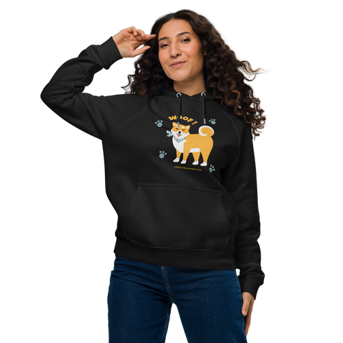 Unisex eco raglan hoodie